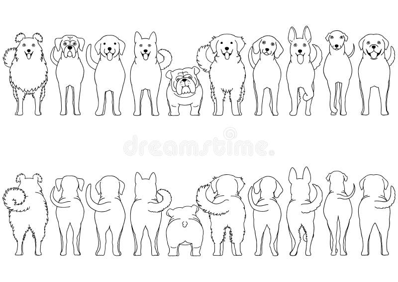 Dogs breed border set line art