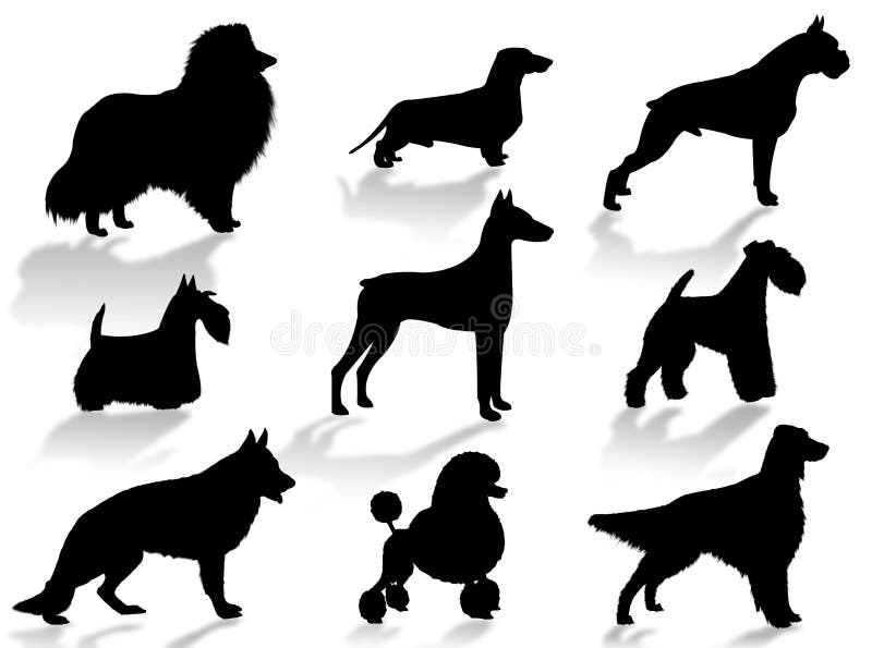 Cani silhouette per rappresentare le diverse razze di cani.