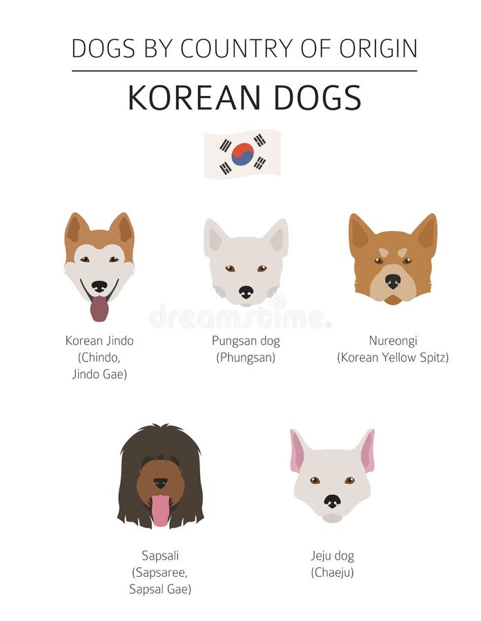 can i take my dog to korea