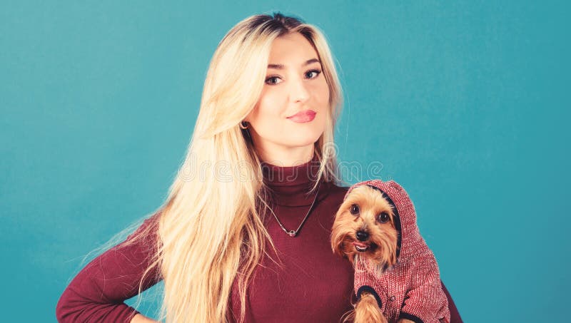 Dogs need clothes. Which dog breeds should wear coats. Woman carry yorkshire terrier. Girl attractive blonde hug cute royalty free stock photo Dogs need clothes. Which dog breeds should wear coats. Woman carry yorkshire terrier. Girl attractive blonde hug cute royalty free stock photo