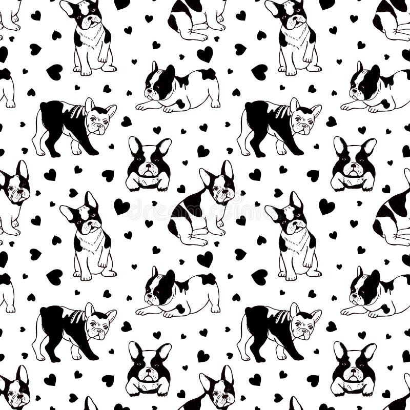 法国斗牛犬矢量斗牛犬组白色背景中突显的搞笑漫画小狗向量例证 插画包括有敬慕 不同 法国斗牛犬矢量斗牛犬组白色背景中突显的搞笑漫画小狗向量例证 插画包括有敬慕 不同