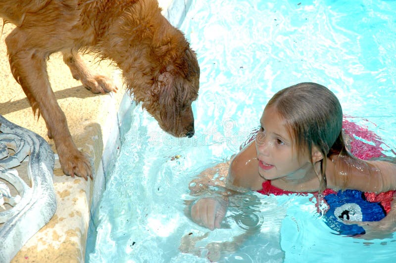 Dogs and Pools stock image. Image of memeber, scared, breed 996953