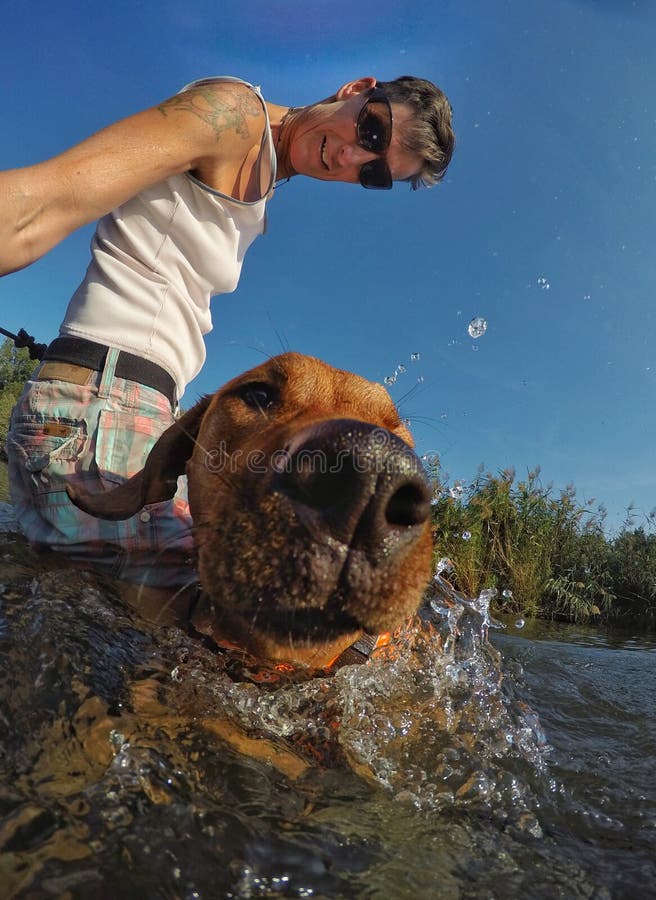 Adorabile cucciolo di Rhodesian Ridgeback è giocare con il suo compagno in acqua.