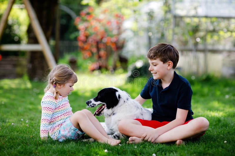 . Doi copii adorabil frati având distracție cu câine stock image
