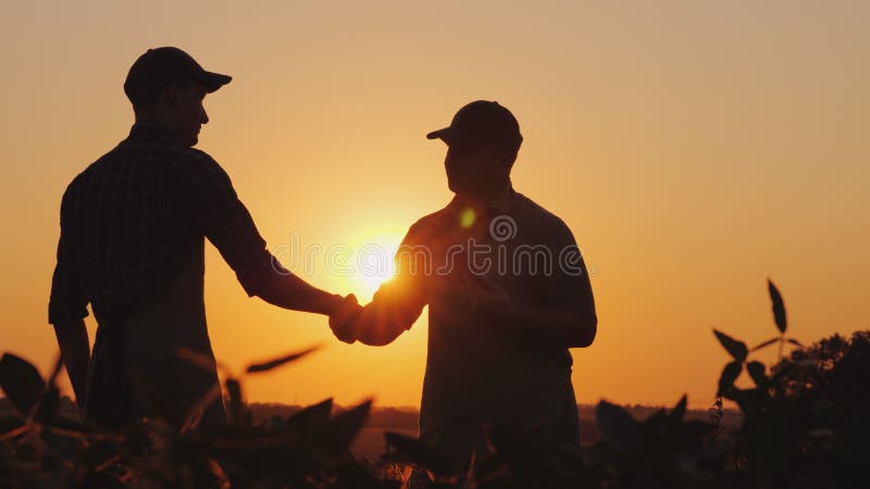 Doi fermieri vorbesc pe teren apoi dau mâna. utilizați un comprimat royalty free stock photography
