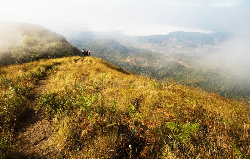 Doi Intanon mountain in a foggy morning