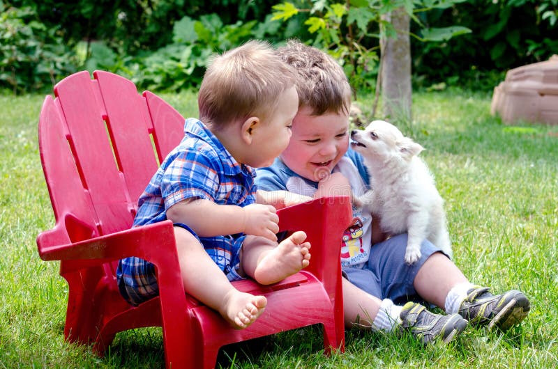 Dois beijos dos irmãos e do cachorrinho fotografia de stock royalty free Dois beijos dos irmãos e do cachorrinho fotografia de stock royalty free