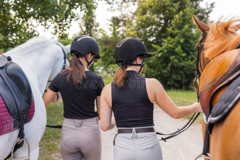 Garota Equestre Pulando Obstáculo Com Cavalo Cinza-maçã Imagem de