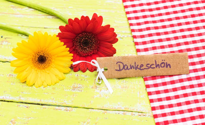 Dois flores e cartões do gerbera com palavra alemão, Dankeschoen, agradecimentos dos meios fotos de stock royalty free Dois flores e cartões do gerbera com palavra alemão, Dankeschoen, agradecimentos dos meios fotos de stock royalty free