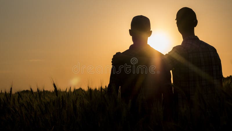 Dois homens que abraçam delicadamente no por do sol, vista traseira imagem de stock Dois homens que abraçam delicadamente no por do sol, vista traseira imagem de stock