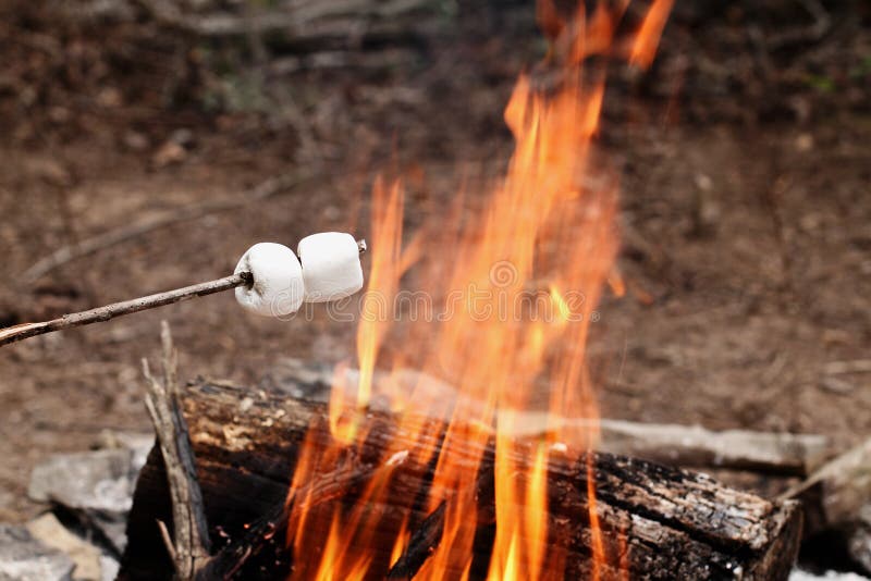 Dois marshmallows em uma vara sobre uma fogueira imagens de stock Dois marshmallows em uma vara sobre uma fogueira imagens de stock