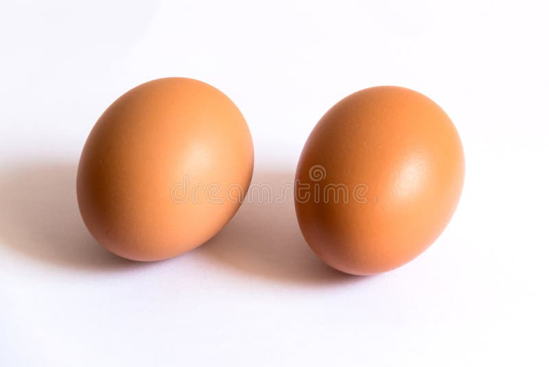 Dois ovos de Brown no fundo branco fotos de stock Dois ovos de Brown no fundo branco fotos de stock