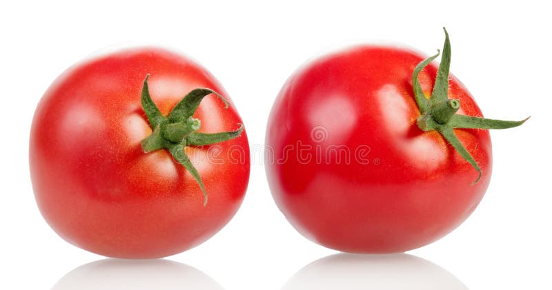 Dois tomates frescos no fundo branco fotografia de stock