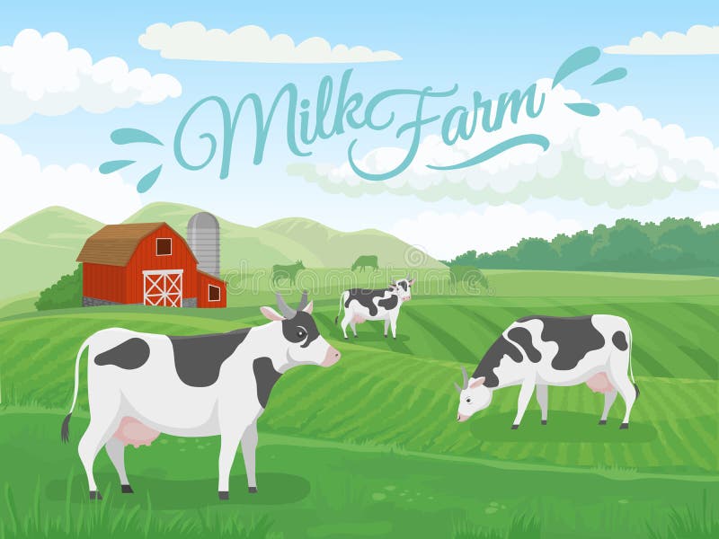 Milk farm field. Dairy farms landscape, cow on ranch fields and country farming cows. Natural milking rural agriculture field or milky farm meadow with cows. Countryside vector illustration. Milk farm field. Dairy farms landscape, cow on ranch fields and country farming cows. Natural milking rural agriculture field or milky farm meadow with cows. Countryside vector illustration