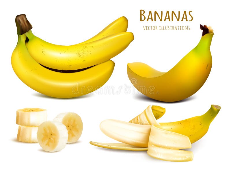 Dojrzała żółta banana wektoru ilustracja ilustracja wektor