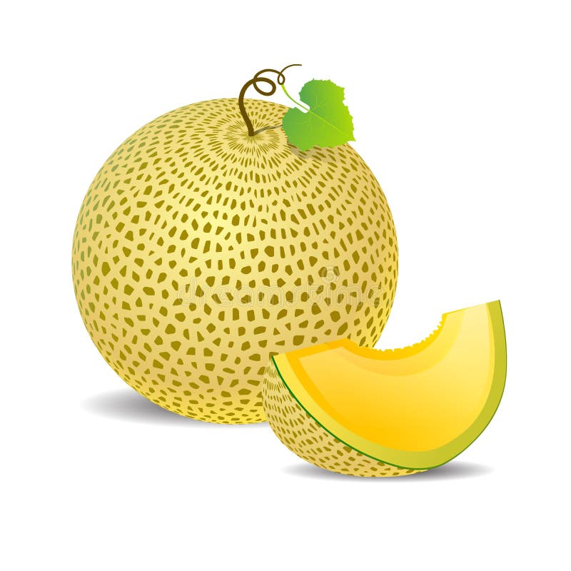 Dojrzały żółty melon właśnie i kawałek royalty ilustracja
