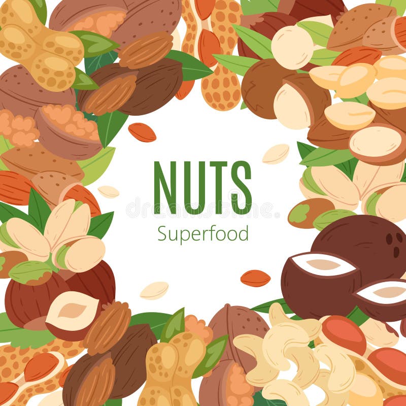 Dokrętki superfood kreskówki sztandaru wektoru inkasowa płaska ilustracja Arachid, pistacja, nerkodrzew, koks, hazelnut i ilustracja wektor Dokrętki superfood kreskówki sztandaru wektoru inkasowa płaska ilustracja Arachid, pistacja, nerkodrzew, koks, hazelnut i ilustracja wektor