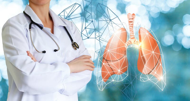 Doktor zeigt menschliche Lungen