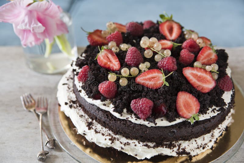 Dolce di cioccolato con la fragola ed il ribes immagini stock libere da diritti Dolce di cioccolato con la fragola ed il ribes immagini stock libere da diritti