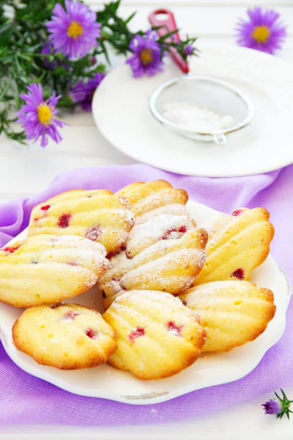 Dolce di Madeleine immagine stock libera da diritti Dolce di Madeleine immagine stock libera da diritti