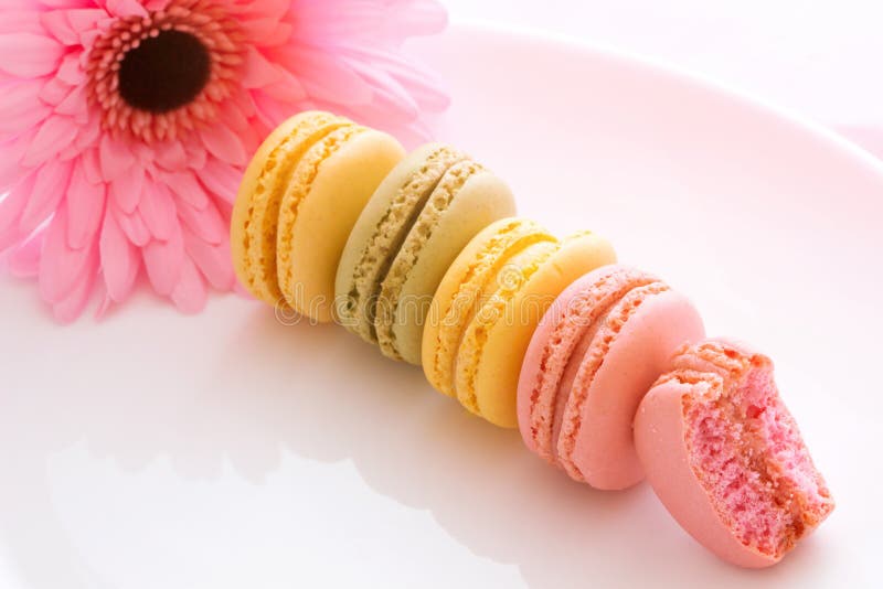 Dolce e dolcificante francese macaroni varietà colorata e diversi tipi di macaroni dolci su piastra bianca con fiore rosa isolato immagini stock Dolce e dolcificante francese macaroni varietà colorata e diversi tipi di macaroni dolci su piastra bianca con fiore rosa isolato immagini stock