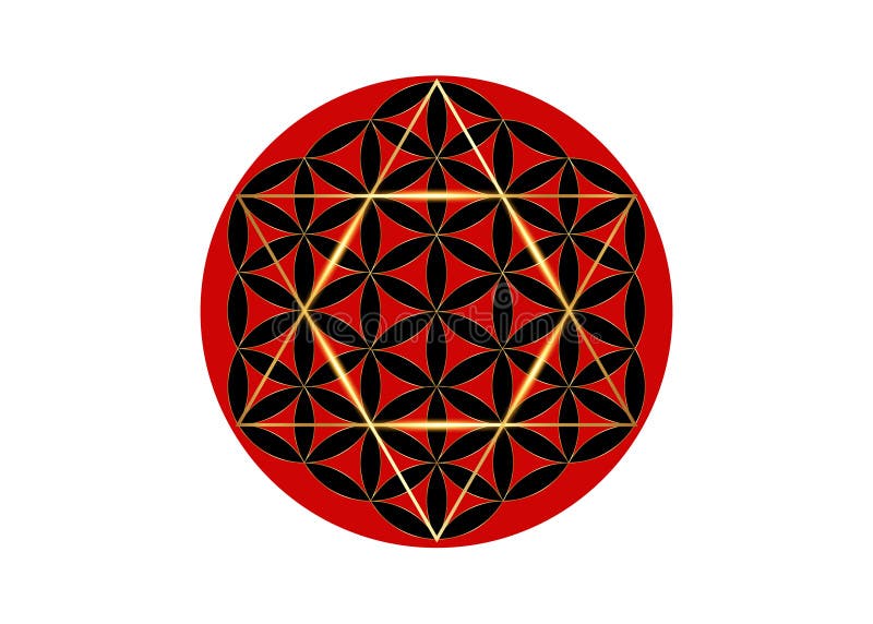 Dold stjärna med blomman av livsheliga metatrons kub med geometri. guldsymbolen för alkemi-tecknet religion och andlighet. isolera royaltyfri illustrationer