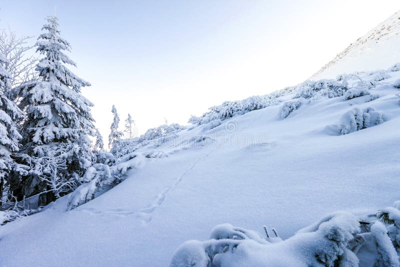 Dolda kullar för snö i berg arkivbilder Dolda kullar för snö i berg arkivbilder