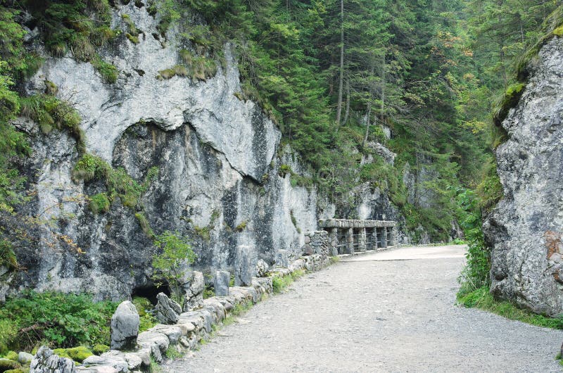 Dolina Koscieliska stock photo. Image of tatry, mountain 34502410