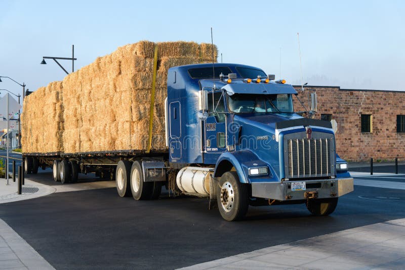 Carnation, WA, USA - October 02, 2022; Local transportation company Valley Hay passing through downtown Carnation with a two trailer load of product. Carnation, WA, USA - October 02, 2022; Local transportation company Valley Hay passing through downtown Carnation with a two trailer load of product