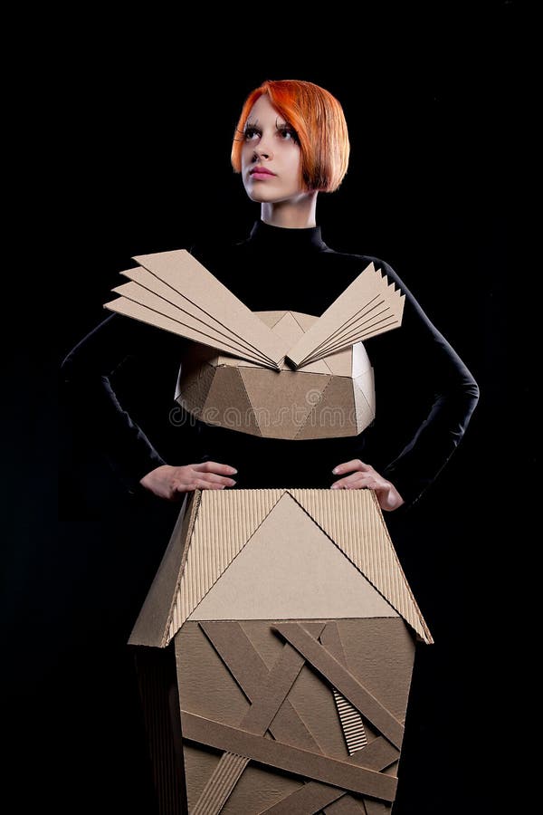 Doll in cardboard dress stock image. Image of girl, hand 22067107