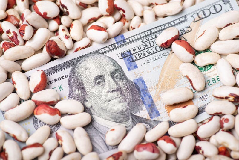 Dollar bill on beans stock image. Image of vegetarian 256476943
