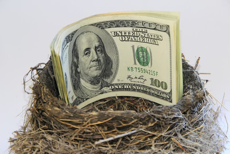 Dollar bills in a bird nest