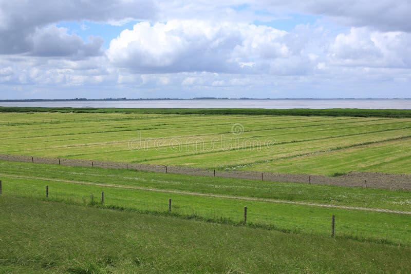 Tideland Dollard in Lower Saxony, the Delta of the River Ems and the North Sea, borderline of Germany and The Netherlands. Tideland Dollard in Lower Saxony, the Delta of the River Ems and the North Sea, borderline of Germany and The Netherlands