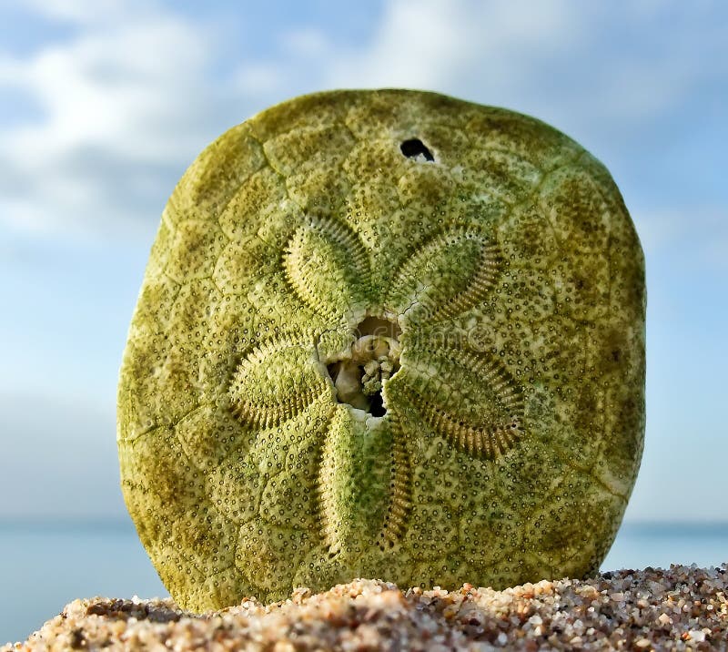 Ciondolo Meccanico Francese Con Carosello Di Pulcini Pasquali In Oro Giallo 18 Carati