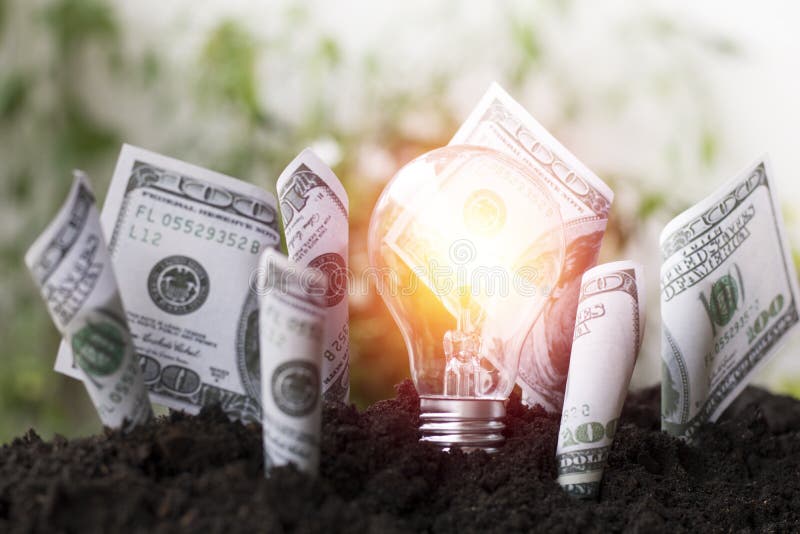 Dollars bill growth up and light bulb on soil, planting money, saving and investment, concept as invest about business and succes royalty free stock photos