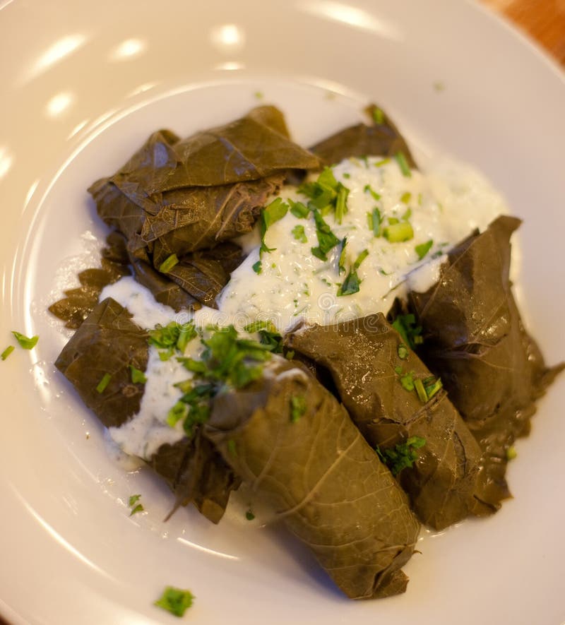 Dolma Stuffed Meat in Grape Leaves with Sauce Stock Photo Image of