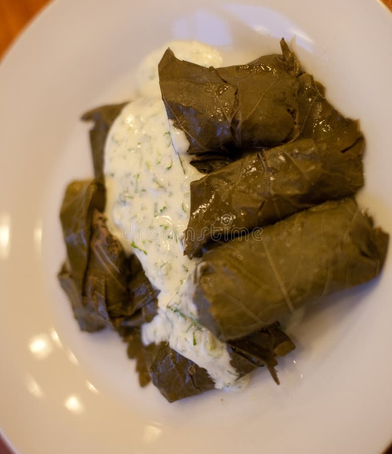 Dolma Stuffed Meat in Grape Leaves with Sauce Stock Image Image of