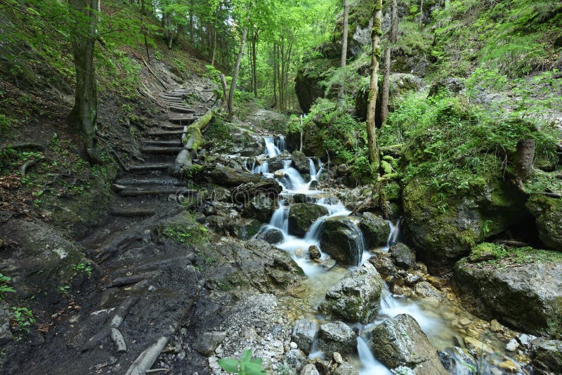 Dolne diery, Hlboky potok, Mala Fatra, Vratna, Zilina Region, Slovakia