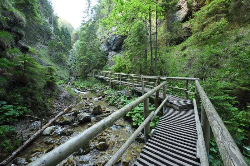 Dolné diery, Hlboký potok, Malá Fatra, Vrátna, Žilinský kraj, Slovensko