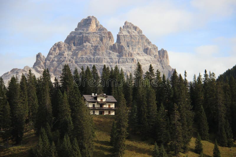 Green Forest And Mountains Summit With Sunlight Stock Photo Image Of