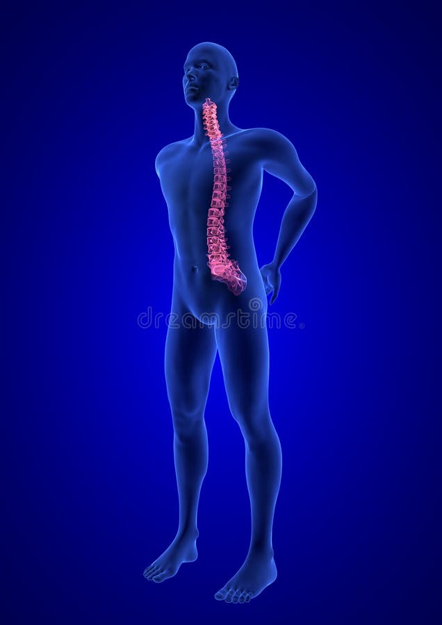 Dolor De Columna. Cuerpo Azul De Anatomía Humana 3d Renderizado En Fondo  Azul Stock de ilustración - Ilustración de pantalla, paciente: 234242831