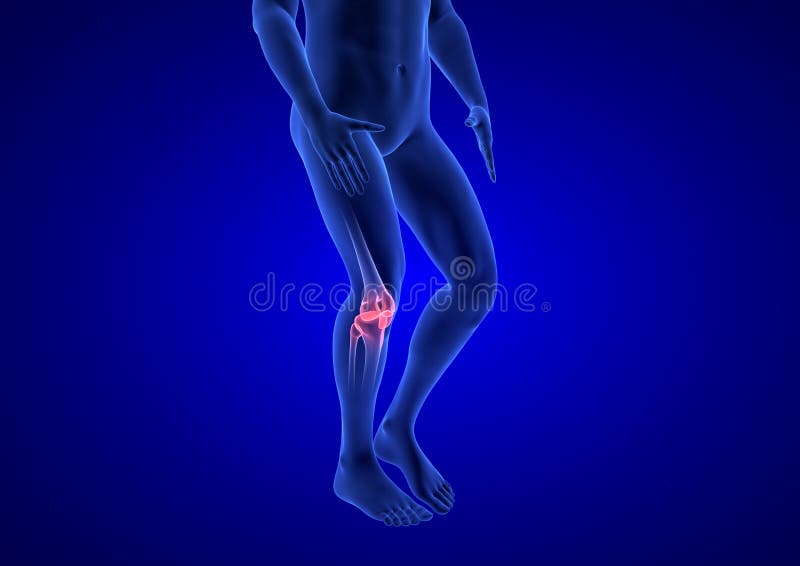 Dolor De La Rodilla El Cuerpo Humano Azul 3D De La Anatomía Rinde En Fondo  Azul Stock de ilustración - Ilustración de dolor, pantalla: 97191291