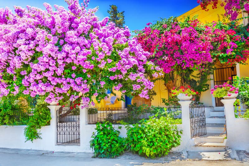 Dom z bougainvillea obrazy royalty free Dom z bougainvillea obrazy royalty free