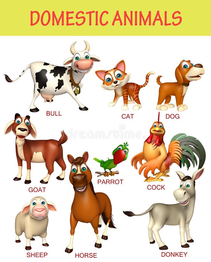 Pet Animals Pictures Chart