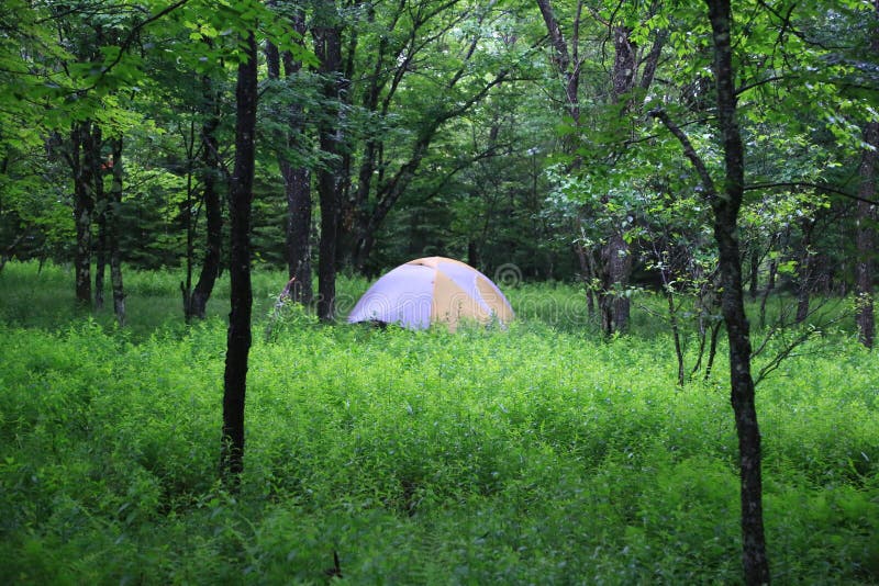 Dome tent royalty free stock images