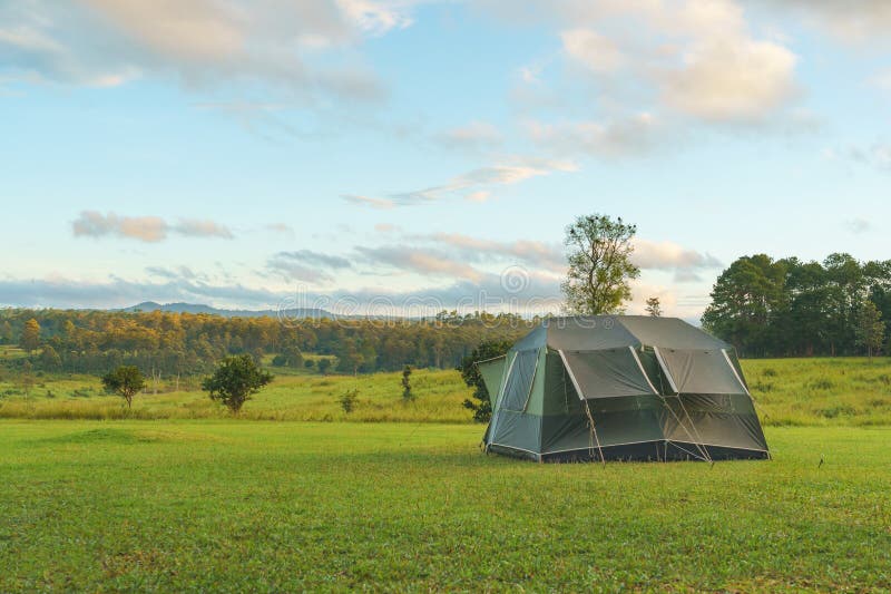Dome tent camping at forest camping site royalty free stock image