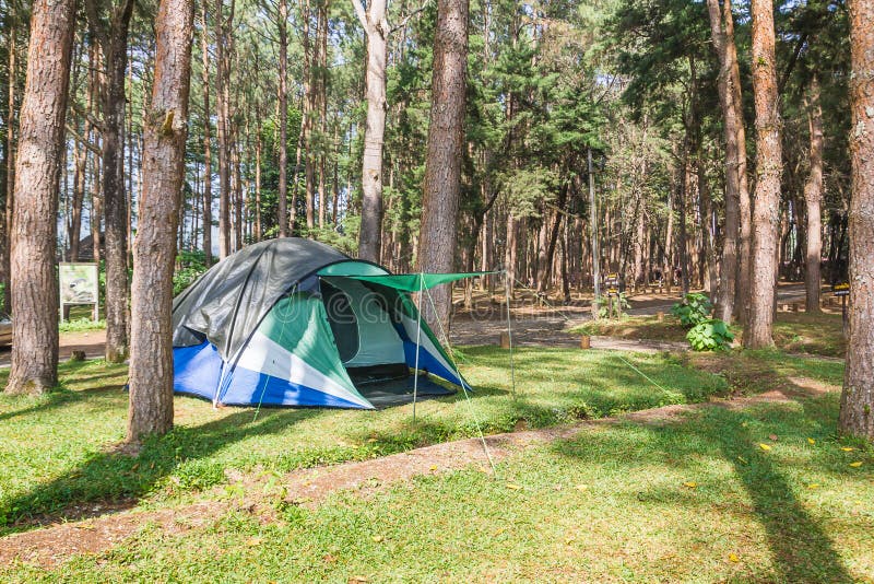 Dome tent camping in forest royalty free stock photos