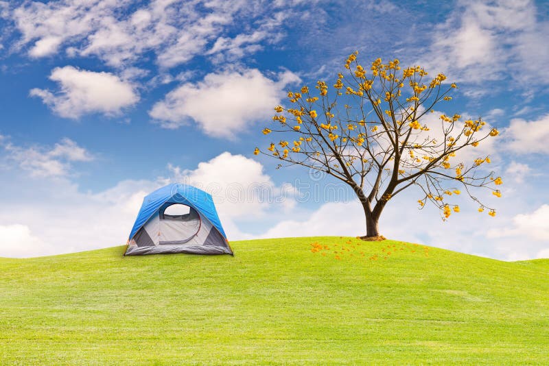 Dome tent on green grass field stock photography