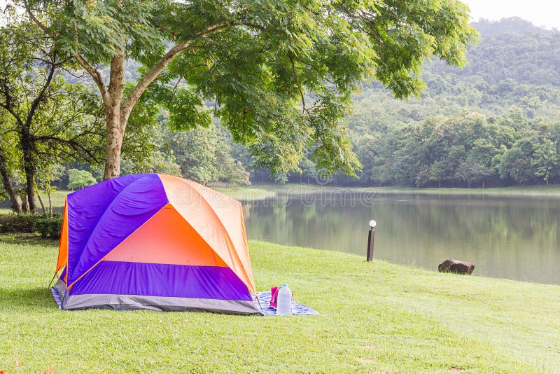 Dome tents camping in forest royalty free stock image
