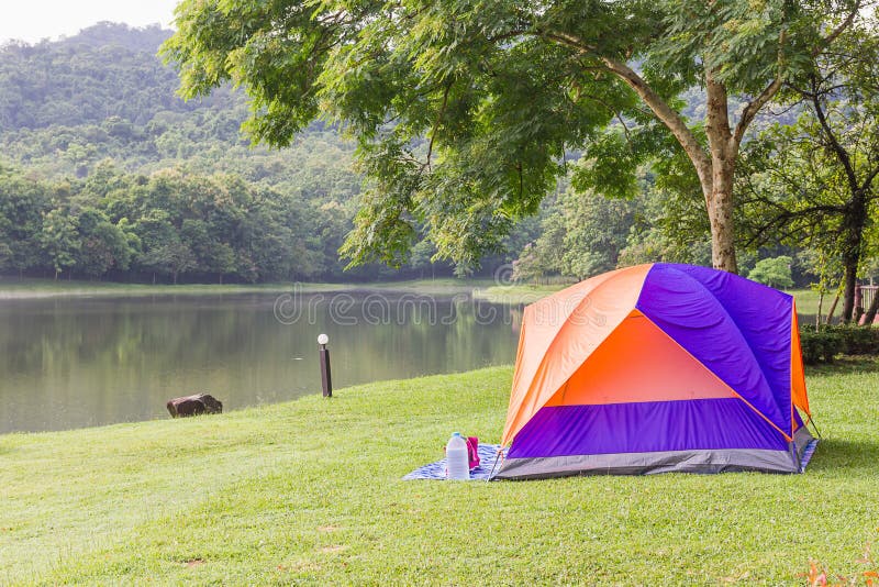 Dome tents camping in forest royalty free stock photography